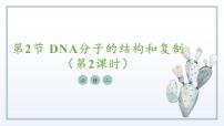 生物苏教版 (2019)DNA分子的双螺旋结构模型课堂教学ppt课件