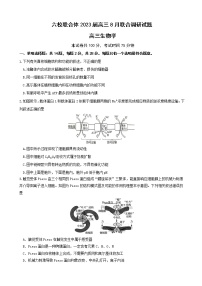 2023届江苏省南京市六校联合体高三8月联合调研考试生物word版