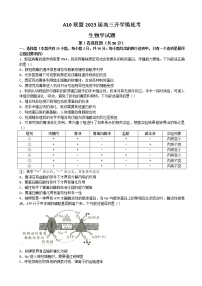 2023届安徽省合肥六中A10联盟高三上学期开学考试生物