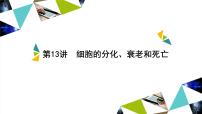 2023届高三生物一轮复习课件：第13讲　细胞的分化、衰老和死亡