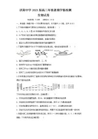 江苏省泗洪县洪翔中学2022-2023学年高三上学期暑期学情检测生物试卷（Word版含答案）