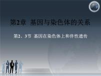 2023届高三一轮复习生物:必修二第二章第2、3节 基因在染色体上和伴性遗传课件