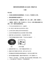 2023届河南省洛阳市创新发展联盟高三上学期7月摸底检测生物学试题含答案