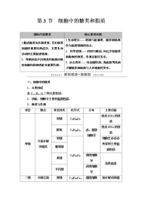 生物必修1《分子与细胞》第3节 细胞中的糖类和脂质教学ppt课件