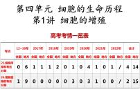 2023届高考生物一轮复习课件细胞增殖