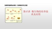 2022届高三生物一轮复习：微生物的培养技术及应用 课件