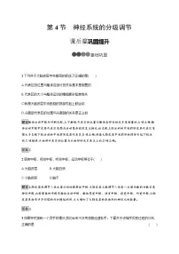 高中生物人教版 (2019)选择性必修1第4节 神经系统的分级调节教案