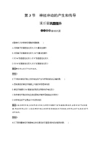 高中生物人教版 (2019)选择性必修1第3节 神经冲动的产生和传导教案及反思
