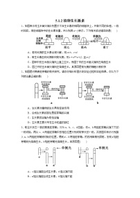 人教版 (2019)选择性必修1第5章 植物生命活动的调节第1节 植物生长素同步训练题