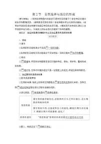 人教版 (2019)必修2《遗传与进化》第2节 自然选择与适应的形成教案