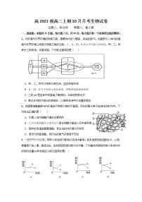 2023重庆市万州二中高二上学期10月月考试题生物含答案