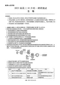 江西省稳派智慧上进2023届高三10月调研生物试题 PDF版含答案