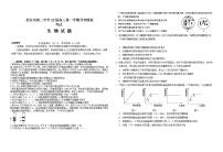 山东省烟台招远市第二中学2023届高三生物上学期9月月考试题(Word版附答案)