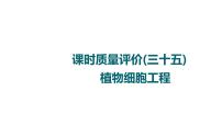 人教版高考生物一轮总复习课时质量评价35植物细胞工程课件