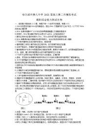 2021省哈尔滨九中高三下学期3月第二次模拟考试理科综合生物试题含答案