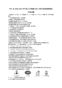 2021山西省怀仁市高三上学期期中考试生物试题含答案