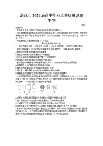 2021湛江高三上学期11月调研测试生物试题含答案