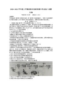 2021沈阳郊联体高三上学期期中考试生物试题含答案