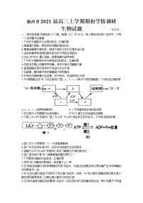 2021扬州高三上学期期初学情调研生物试题含答案