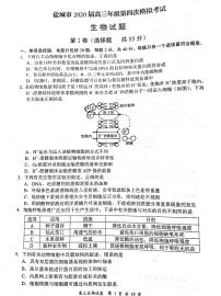 2020盐城高三年级第四次模拟考试生物试题PDF版含答案