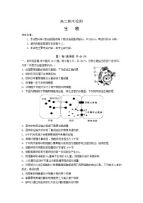 2020临沂高三上学期期末考试生物试题含答案