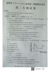 2021洛阳高二上学期期末考试生物试题扫描版含答案