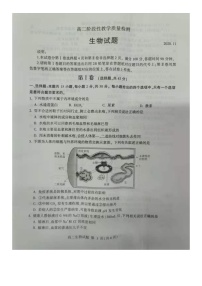 2021山东省平邑县、沂水县高二上学期期中联考生物试卷图片版含答案