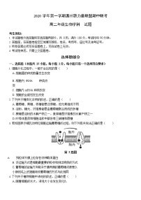 2021温州新力量联盟高二上学期期中联考生物试题含答案