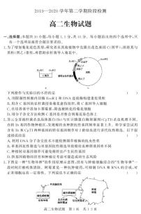 2020济宁兖州区高二5月阶段性测试生物试题（可编辑）PDF版含答案