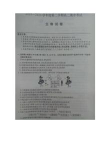 2020河北省枣强中学高二下学期期中考试生物试题PDF版含答案