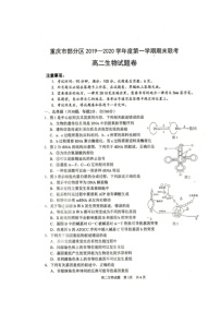 2020重庆市部分区高二上学期期末考试生物试题扫描版缺答案