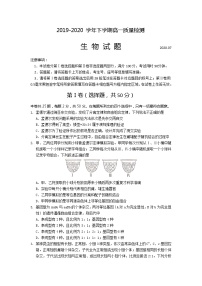 2020临沂罗庄区高一下学期期末考试生物试题含答案