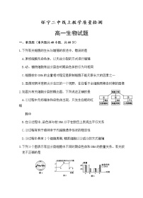 2020安庆怀宁县二中高一下学期期中线上检测生物试题含答案