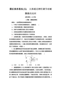 浙科版 (2019)选择性必修1 稳态与调节第三节  人体通过神经调节对刺激做出反应课时训练