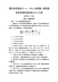 高中生物人教版 (2019)必修2《遗传与进化》第3章 基因的本质第3节 DNA的复制练习题