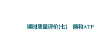 人教版高考生物一轮总复习课时质量评价7酶和ATP课件