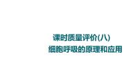 人教版高考生物一轮总复习课时质量评价8细胞呼吸的原理和应用课件