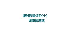 人教版高考生物一轮总复习课时质量评价10细胞的增殖课件