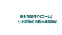 人教版高考生物一轮总复习课时质量评价29生态系统的结构与能量流动课件