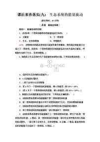 苏教版 (2019)选择性必修2 生物与环境第二节 生态系统的能量流动巩固练习