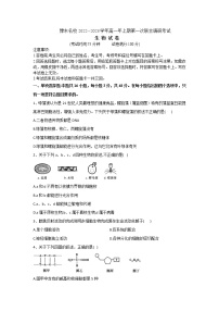 2023河南省豫东名校高一上学期第一次联合调研考试生物含解析