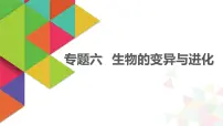 【最新版】22届高考生物二轮专题复习之专题六 生物的变异与进化【同步课件】