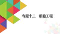 【最新版】22届高考生物二轮专题复习之专题十三  细胞工程【同步课件】