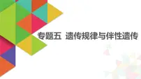 【最新版】22届高考生物二轮专题复习之专题五 遗传规律与伴性遗传【同步课件】