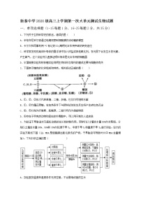 山东省泰安市泰安一中老校区（新泰中学）2023届高三生物上学期第一次月考试题（Word版附答案）