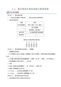 生物必修1《分子与细胞》第4节 蛋白质是生命活动的主要承担者随堂练习题