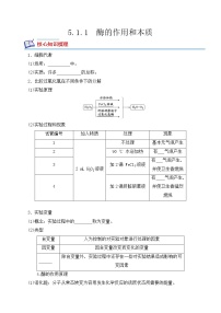 人教版 (2019)必修1《分子与细胞》一 酶的作用和本质综合训练题