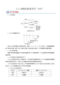 2020-2021学年第2节 细胞的能量“货币”ATP课后作业题