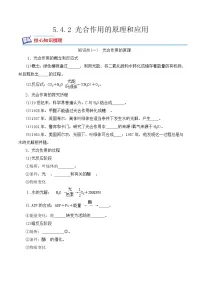 人教版 (2019)必修1《分子与细胞》第5章 细胞的能量供应和利用第4节 光合作用与能量转化二 光合作用的原理和应用同步测试题