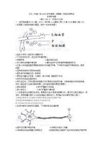甘肃省天水市第一中学2022-2023学年高二上学期第一学段检测生物试题(含答案)